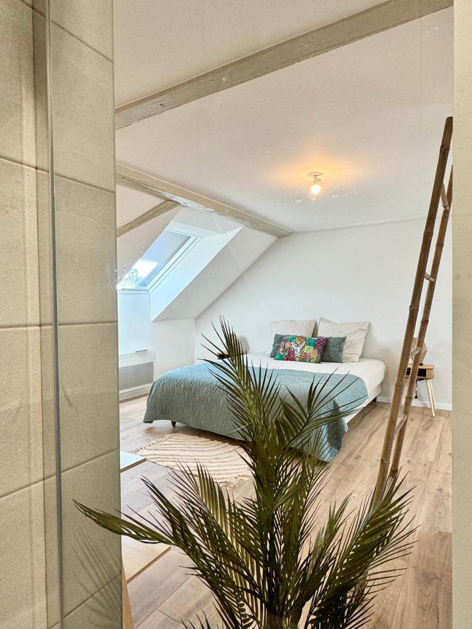 Duplex Mangrove * Wahlbach